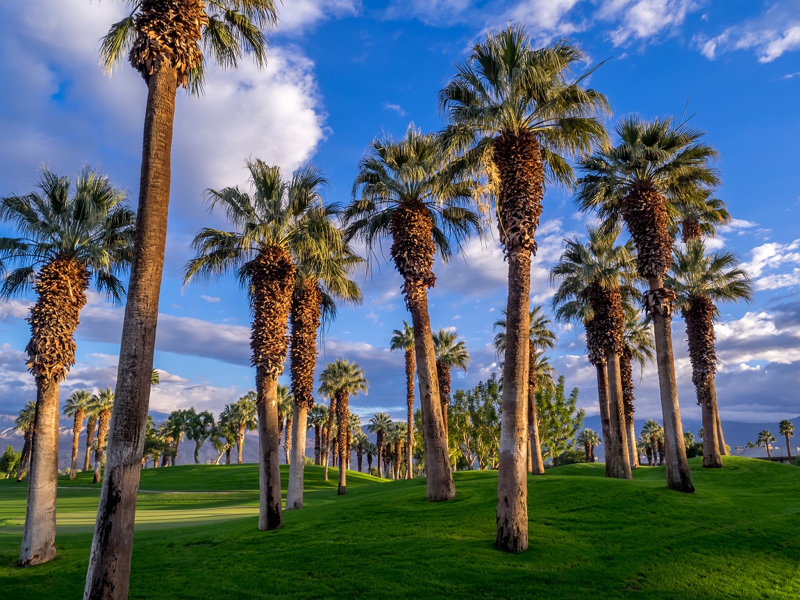 Coachella Valley Spherion